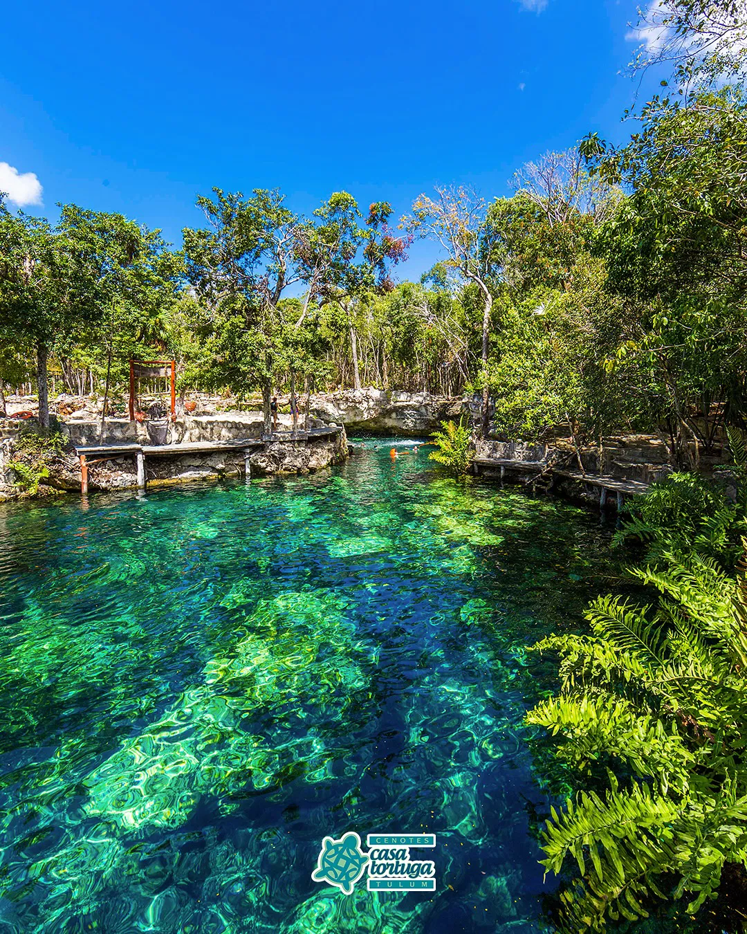 How were the cenotes formed? History and science of these natural treaures