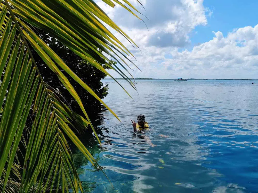 Lagoon Explorer, Bacalar