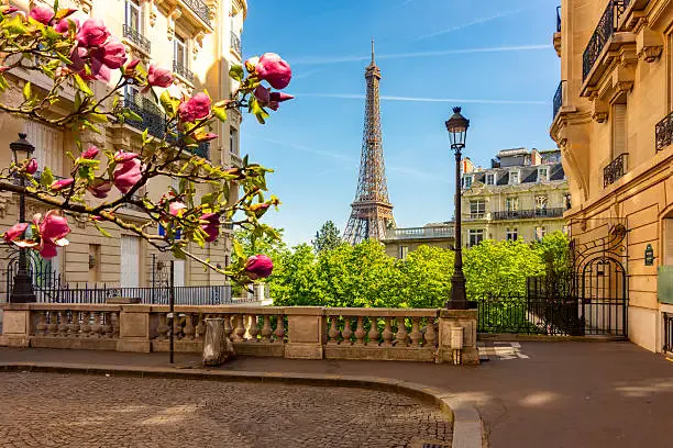 During spring, the Eiffel Tower becomes even more enchanting as Paris blooms with color. Surrounded by flowering trees and lush gardens, this season offers one of the most picturesque views of the monument.