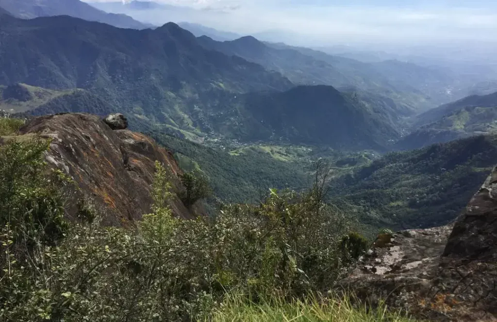 The Farallones