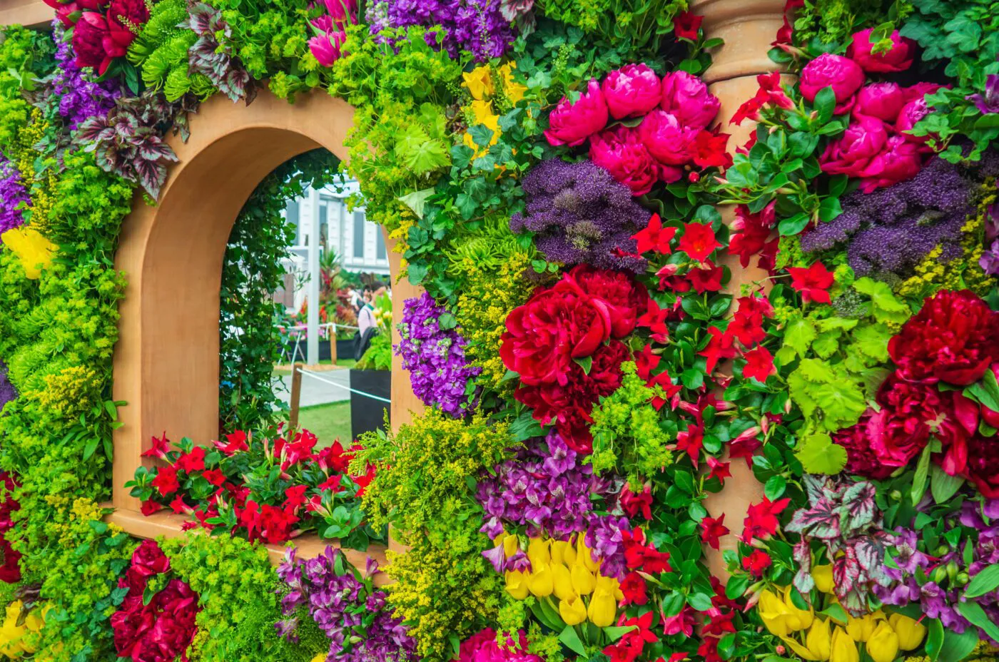 The Chelsea Flower Show