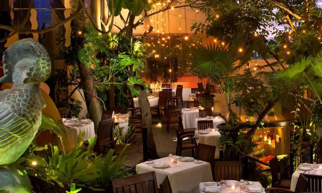 Flavors That Captivate: Top 6 Must-Try Restaurants in Puerto Vallarta