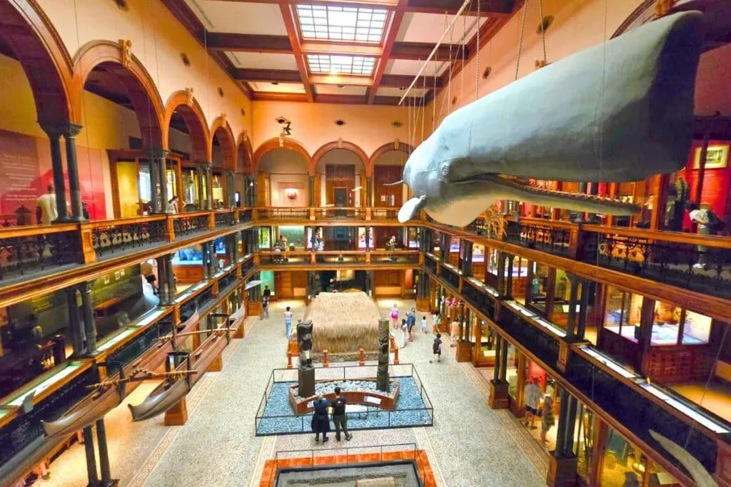 Hawaiian Hall Bishop Museum Honolulu Hawaii