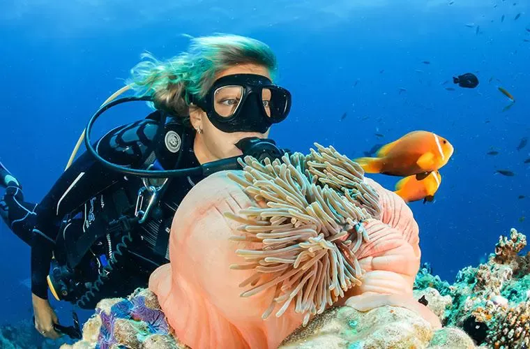 Diving Spots in Punta Cana
