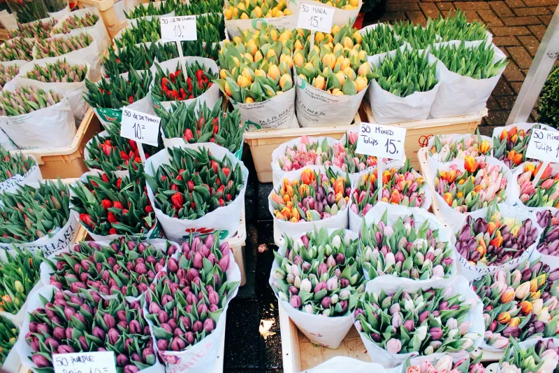 Bloemenmarkt