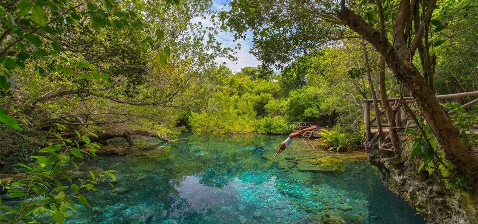 Indigenous Eyes Ecological Reserve