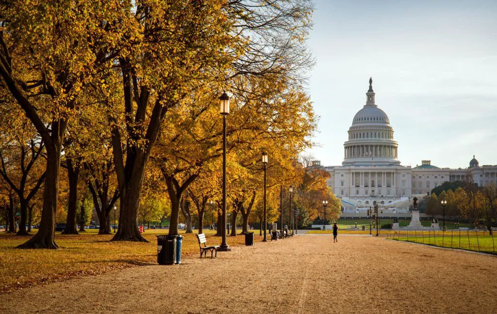What’s the best season to visit Washington D.C.?