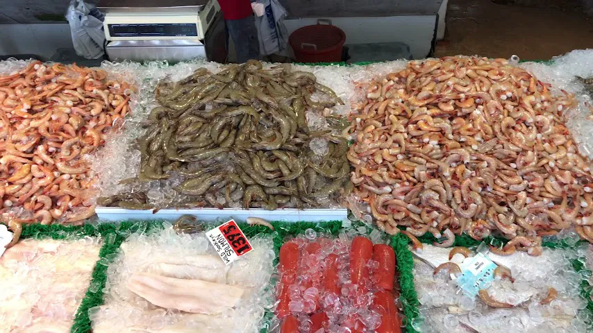 Municipal Fish Market 