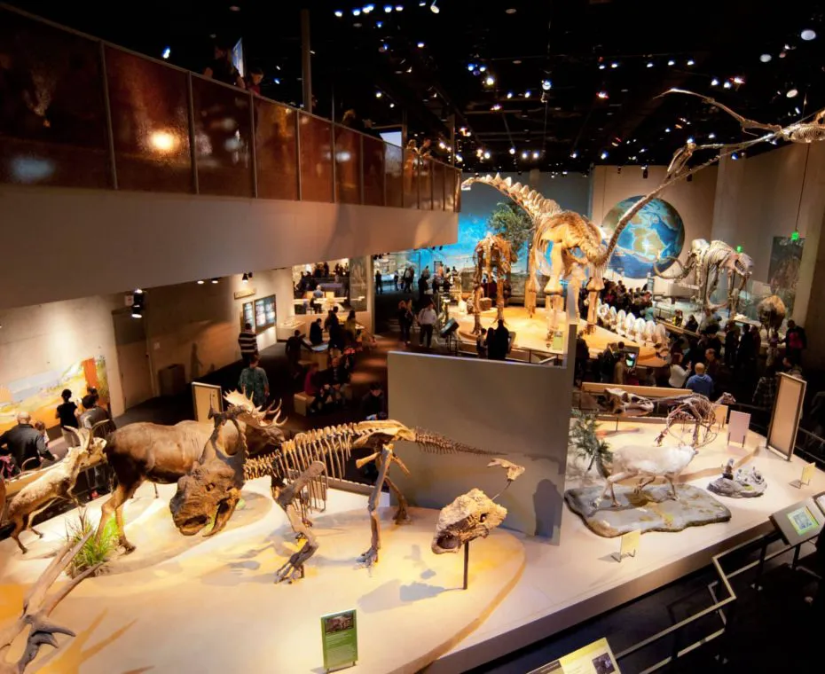 Perot Museum of Nature and Science