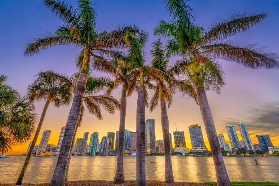 Miami Travel Guide 2025: Everything you need to know before you go.