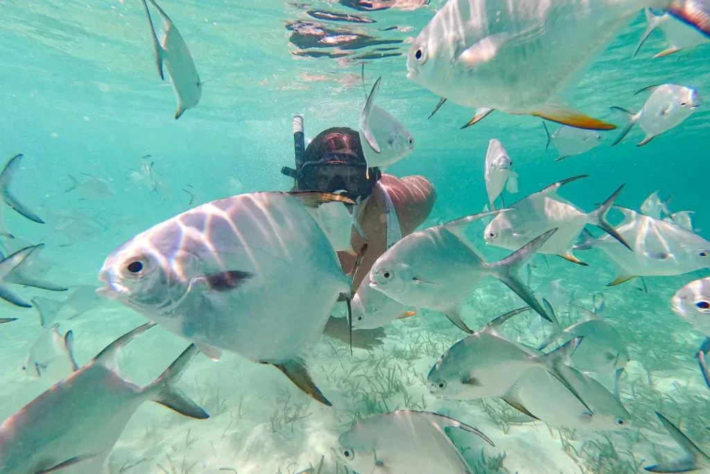 Snorkel in Punta Cana