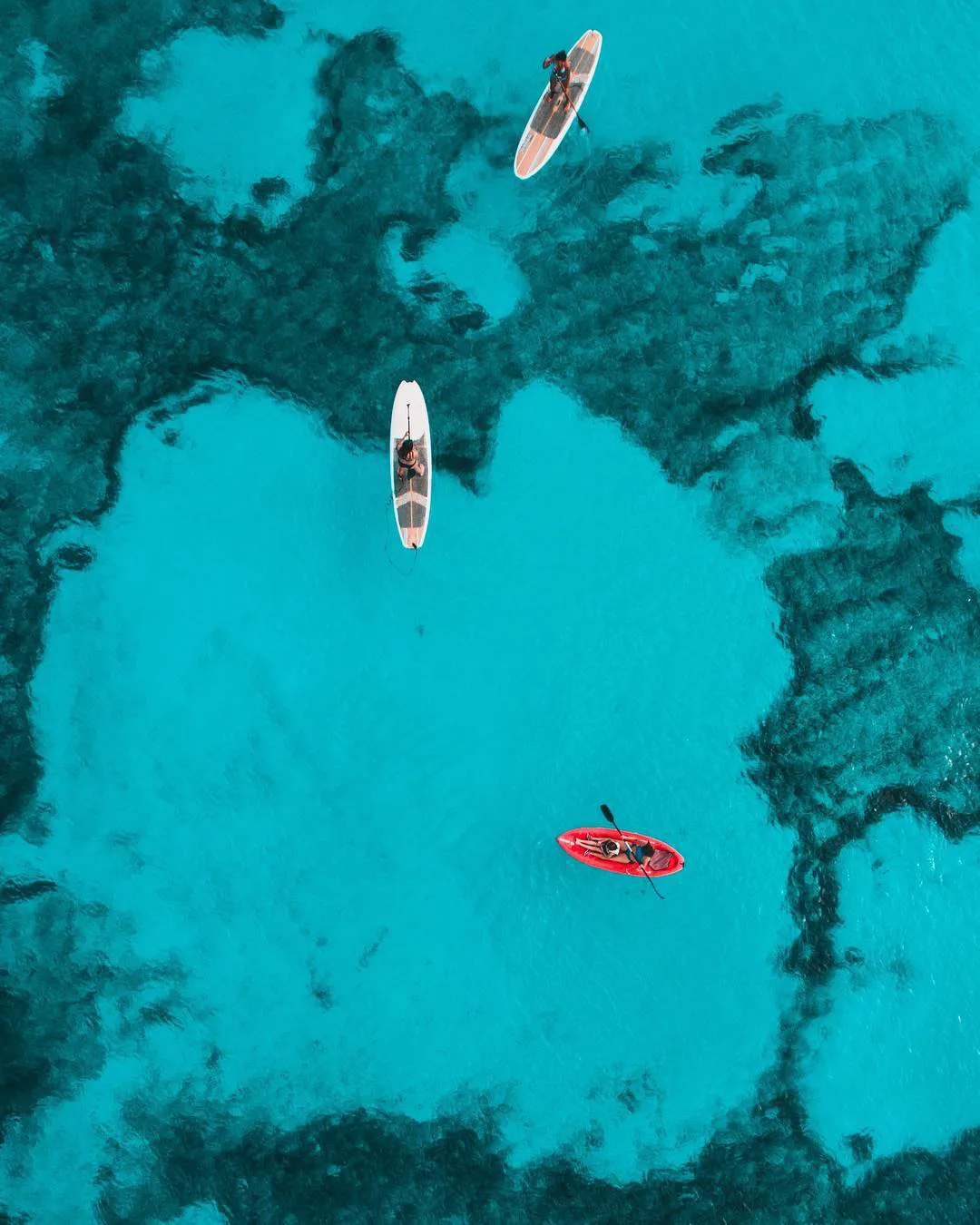Kayak in Isla Mujeres