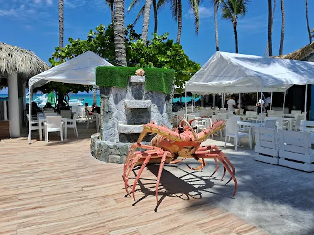 Where to eat in Punta Cana