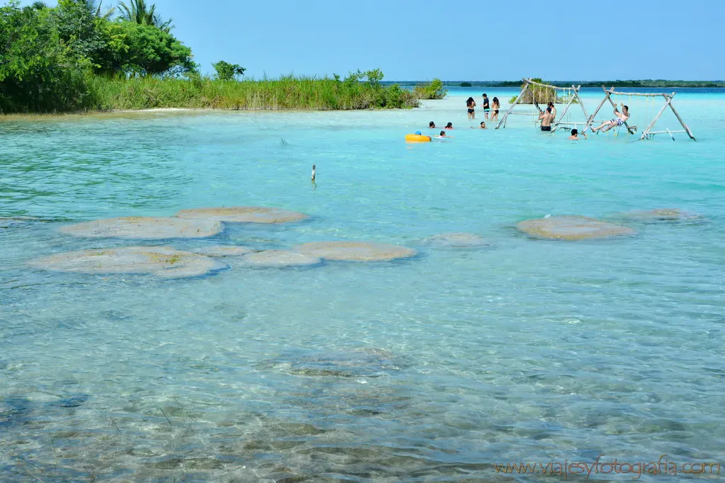 Stromatolites