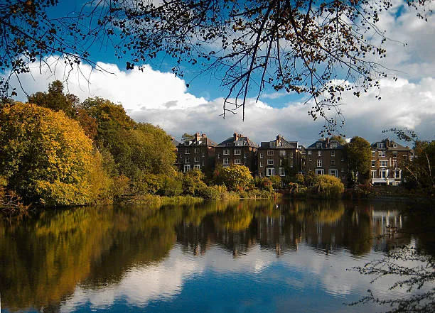 Walking through Hampstead Heath