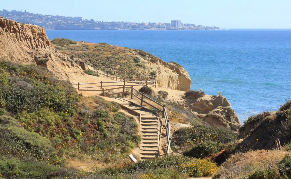 Torrey Pines State Natural Reserve