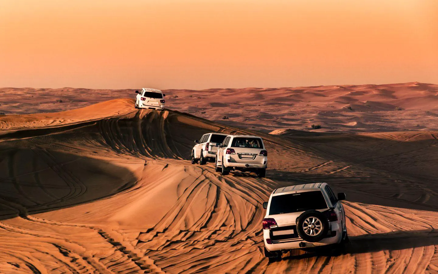 Desert Safari