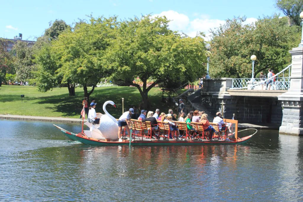 The Swan Boats