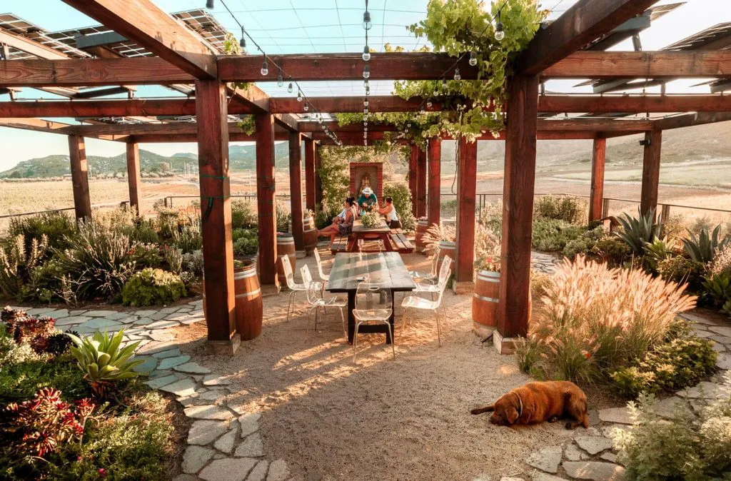 Valle de Guadalupe