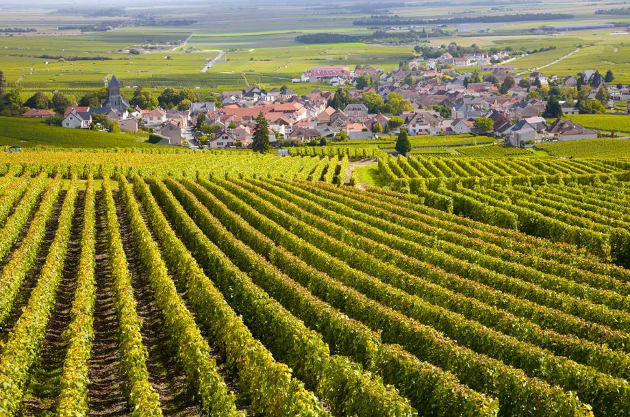 Visit Bordeaux in Fall