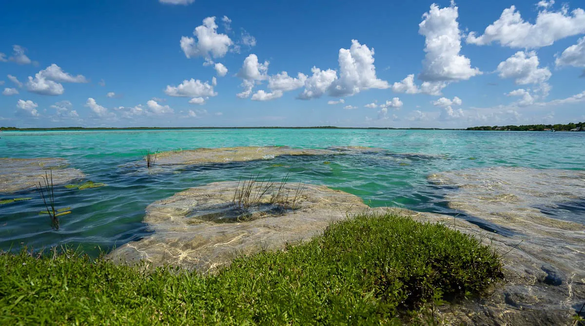 Stromatolites