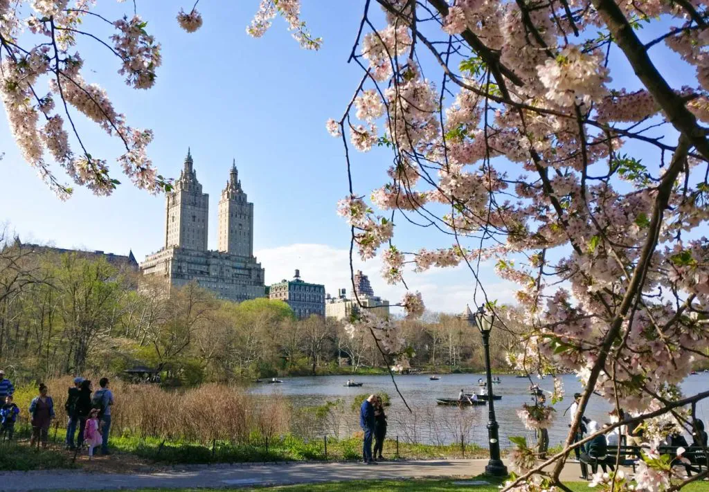Central Park, New York