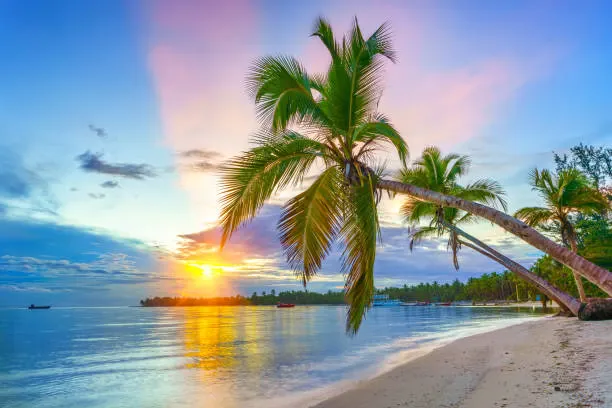Day Trips from Punta Cana!
