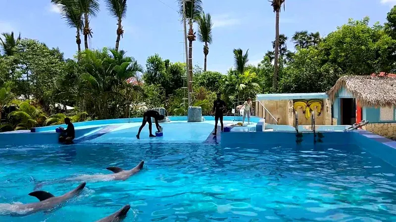 Manatí Park Punta Cana: Nature, Culture, and Dominican Tradition in One Place