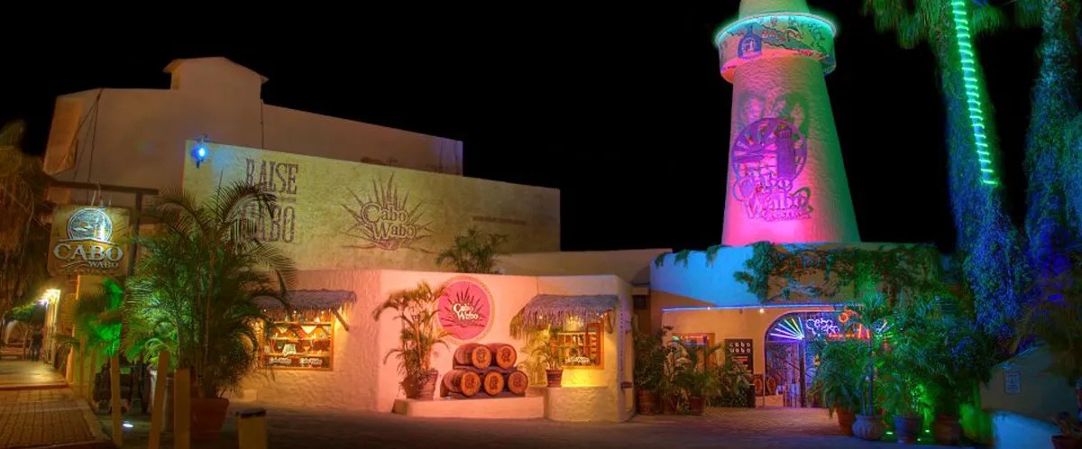 Flavors That Seduce: Nightlife in Los Cabos
