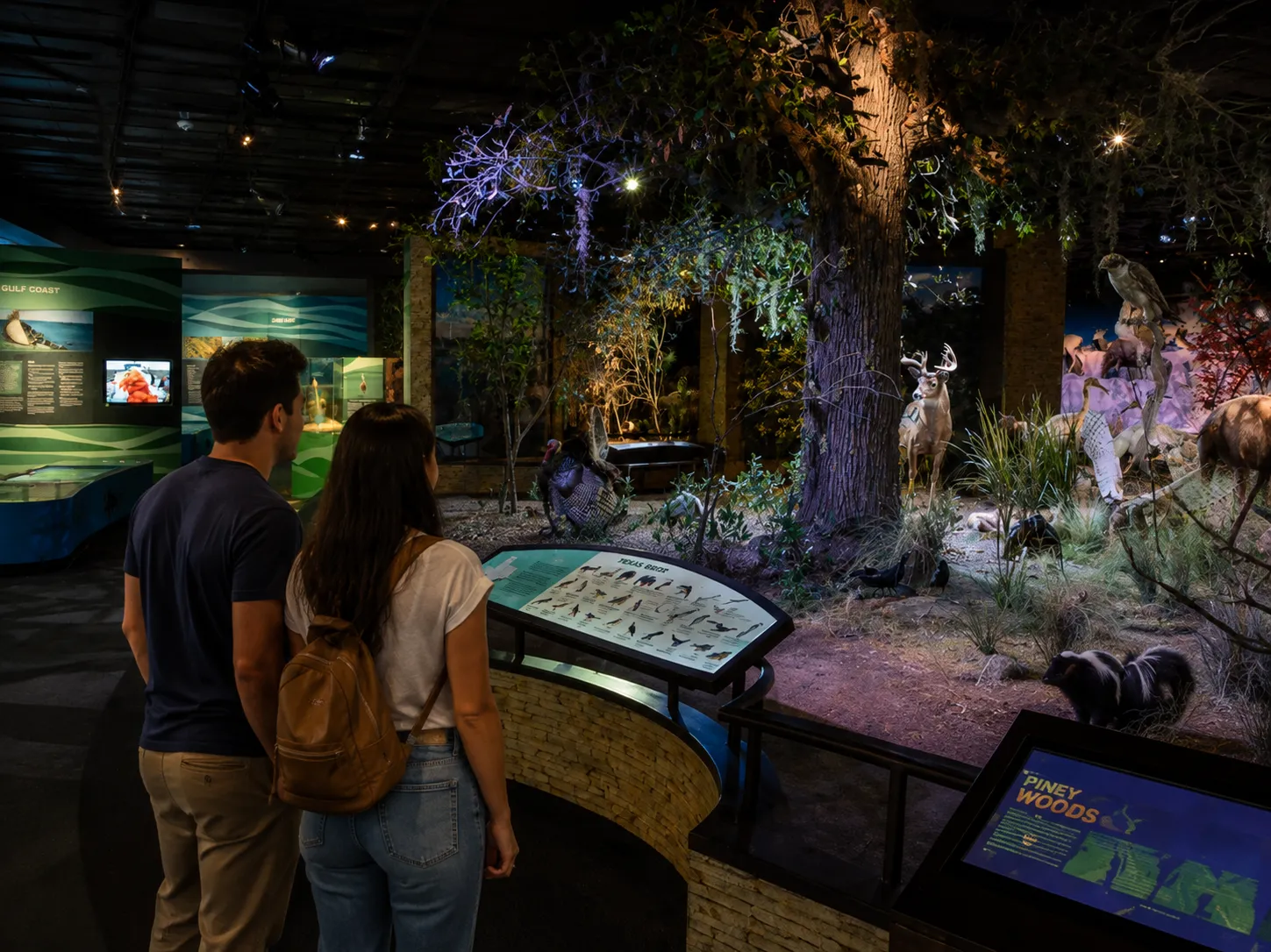 Wander through ancient fossils, dazzling gems, and stunning exhibits at this world-class museum