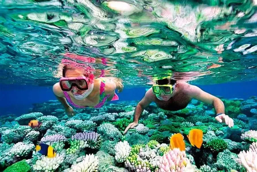 Snorkeling in Catalina Island or Saona Island: An Unforgettable Aquatic Adventure with Private Airport Transportation
