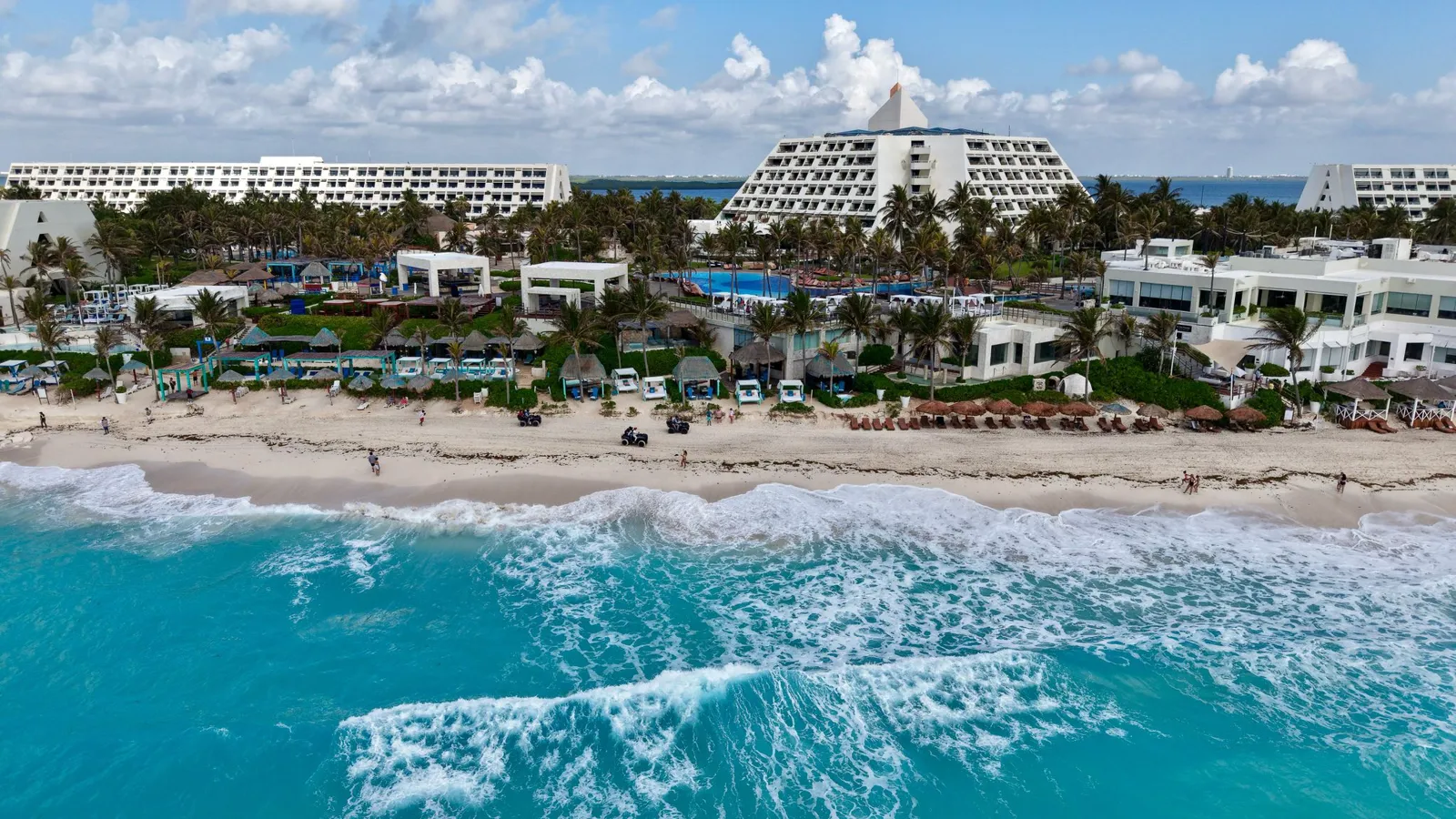 Understanding Sargassum in Cancún