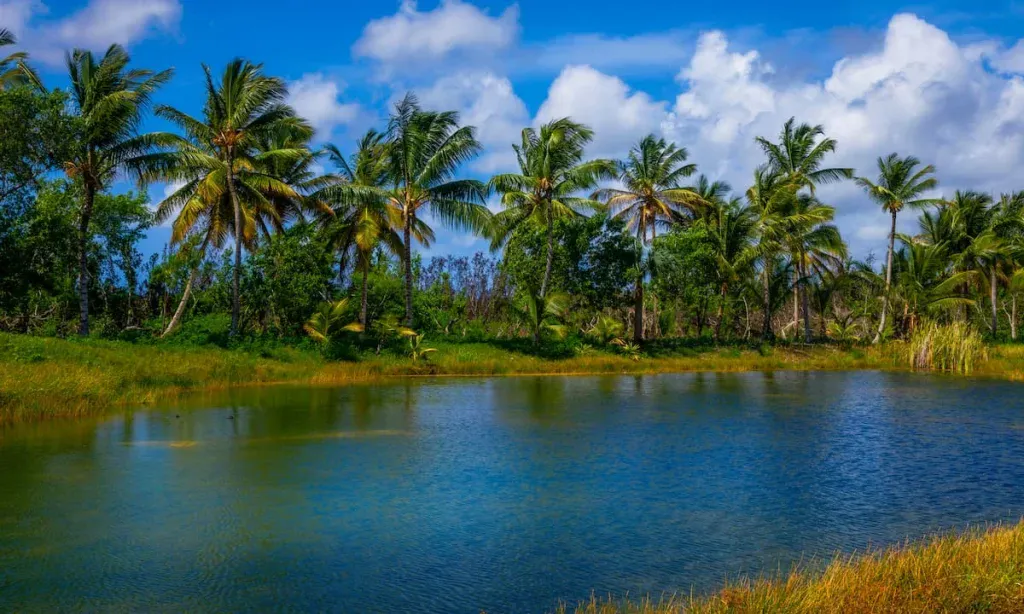 Laguna Bávaro Ecological Reserve