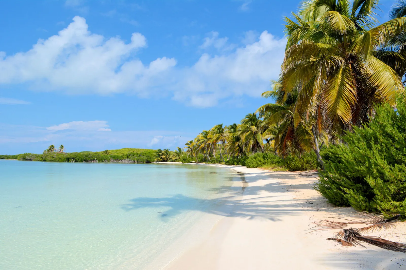 Contoy Island