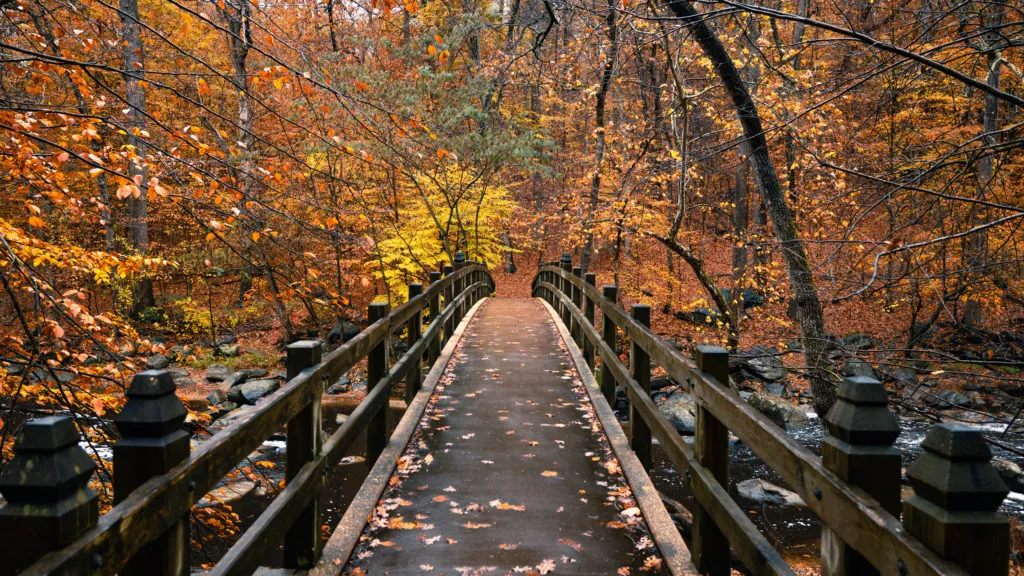 Rock Creek Park