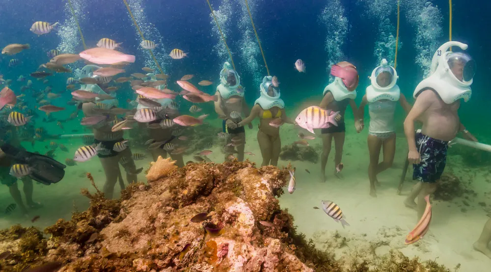 Seaquarium Punta Cana: A Unique Underwater Adventure in the Caribbean