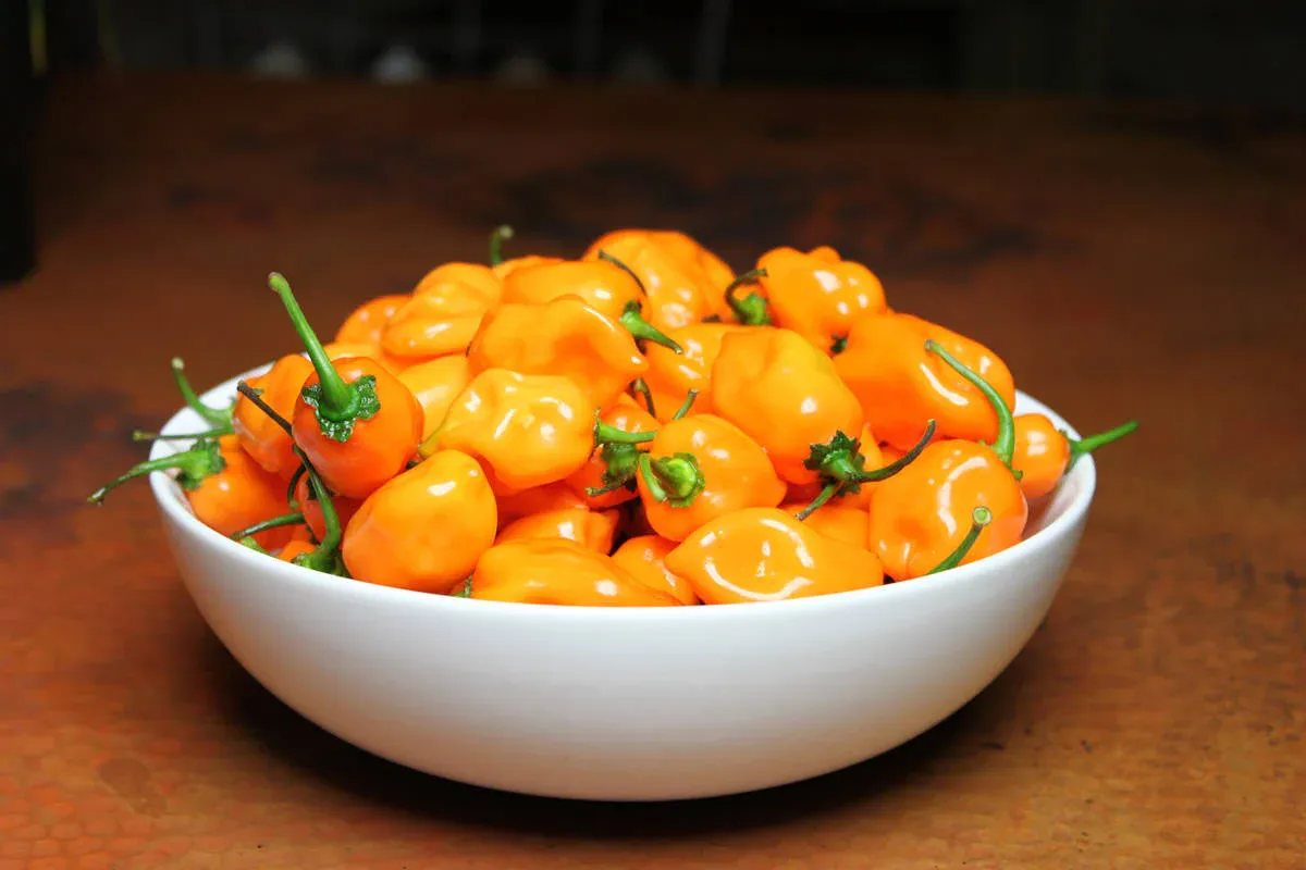 Habanero is Treacherous