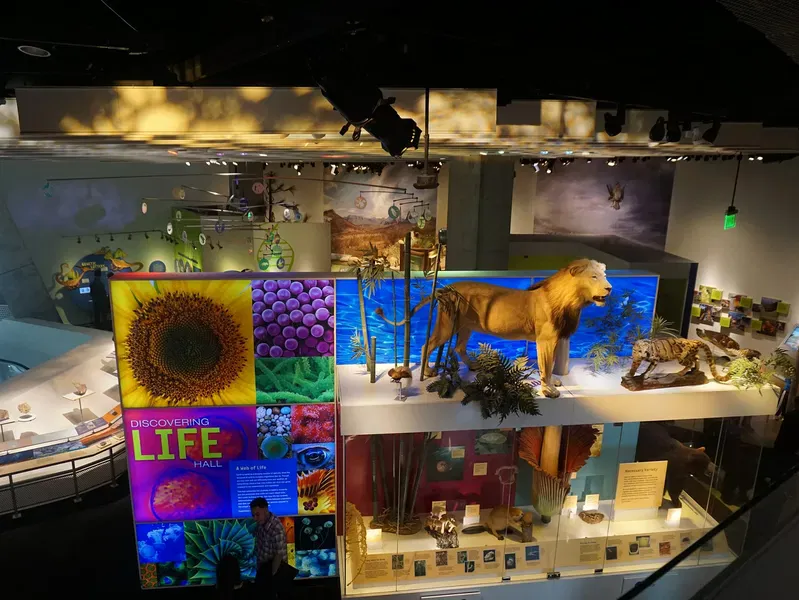 Perot Museum of Nature and Science